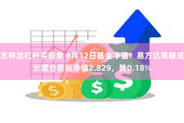 怎样加杠杆买股票 8月12日基金净值：易方达策略成长混合最新净值2.829，跌0.18%