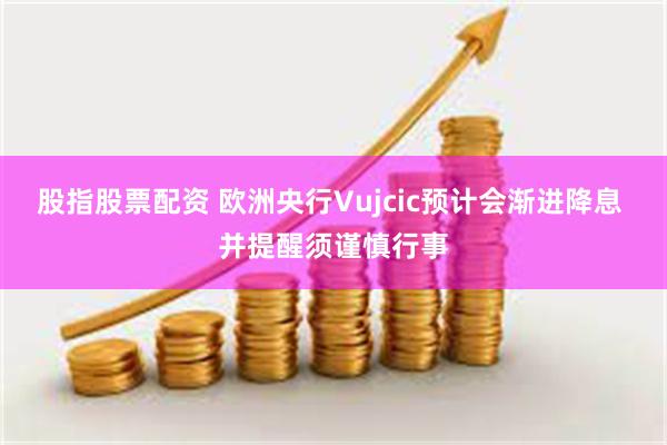 股指股票配资 欧洲央行Vujcic预计会渐进降息 并提醒须谨慎行事