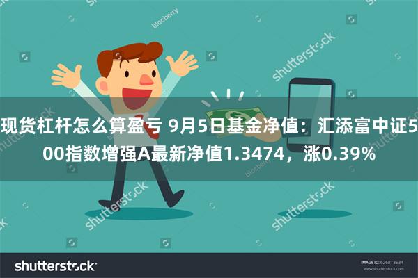 现货杠杆怎么算盈亏 9月5日基金净值：汇添富中证500指数增强A最新净值1.3474，涨0.39%