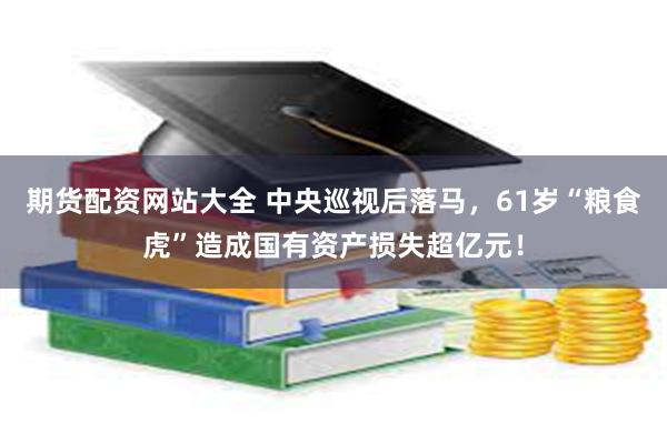 期货配资网站大全 中央巡视后落马，61岁“粮食虎”造成国有资产损失超亿元！