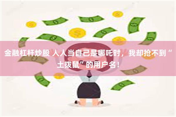 金融杠杆炒股 人人当自己是哪吒时，我却抢不到“土拨鼠”的用户名！