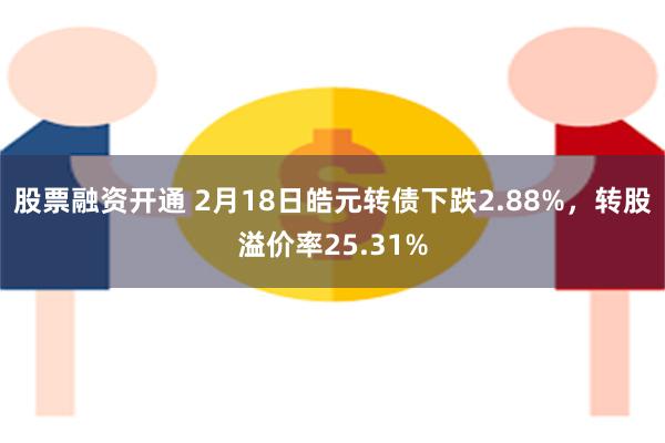 股票融资开通 2月18日皓元转债下跌2.88%，转股溢价率25.31%