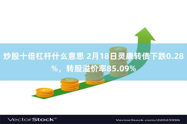 炒股十倍杠杆什么意思 2月18日灵康转债下跌0.28%，转股溢价率85.09%